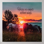 Poster Les chevaux sont des anges sans ailes (Devant)