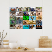 POSTER LES CHIENS DE TRAVAIL MILITAIRES AMÉRICAINS "MONTA (Cuisine)