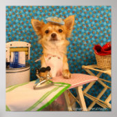 Poster Les chiens font du fer (Devant)