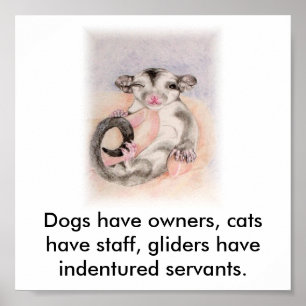 Poster Les chiens ont des propriétaires, chats ont le