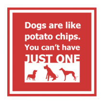 Les chiens sont comme des chips