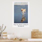 Poster Les Chiens Sont Des Anges (Cuisine)