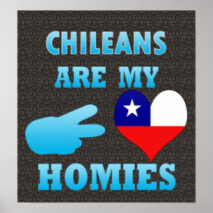Poster Les Chiliens sont mes Hommes