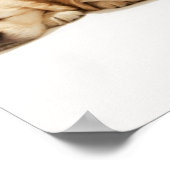 Poster Les chiots du Golden Retriever (Coin)