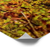 Poster Les chutes d'automne (Coin)