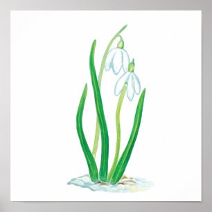 Poster Les chutes de neige en neige