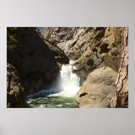 Poster Les chutes de Roaring River dans le parc national  (Devant)