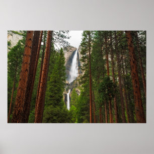 Poster Les chutes de Yosemite dans la forêt