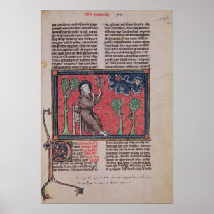 Poster Les cieux, du 'rerum de De Natura