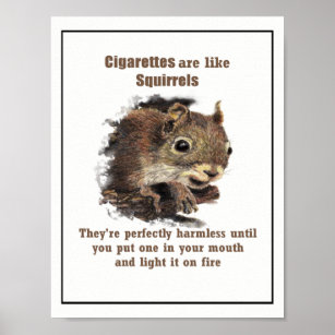 Poster Les cigarettes sont comme les écureuils Citation M