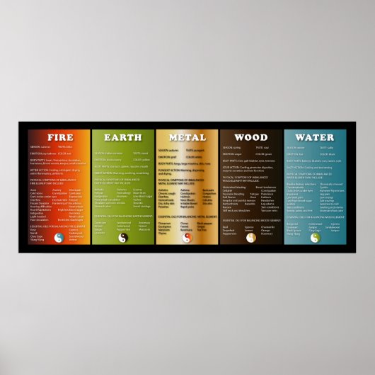 Poster Les cinq éléments (Devant)