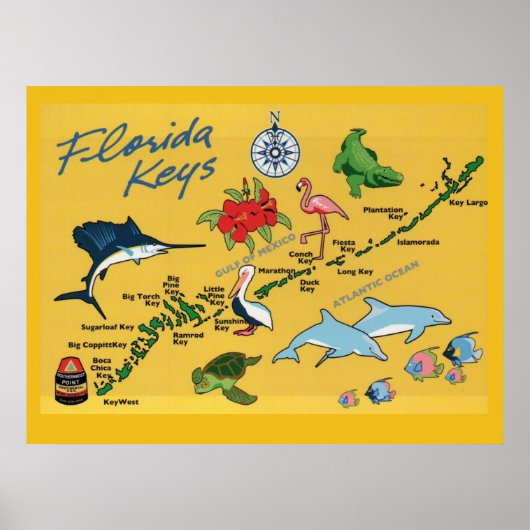 Poster Les clés de la Floride (Devant)