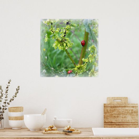 Poster les coccinelles (Cuisine)