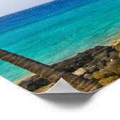 Poster Les cocotiers (Cocos nucifera) se balancent dans (Coin)