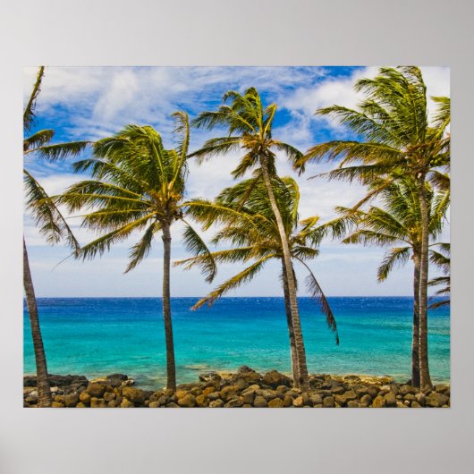 Poster Les cocotiers (Cocos nucifera) se balancent dans (Devant)