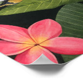 Poster Les colibris de la Plumeria (Coin)
