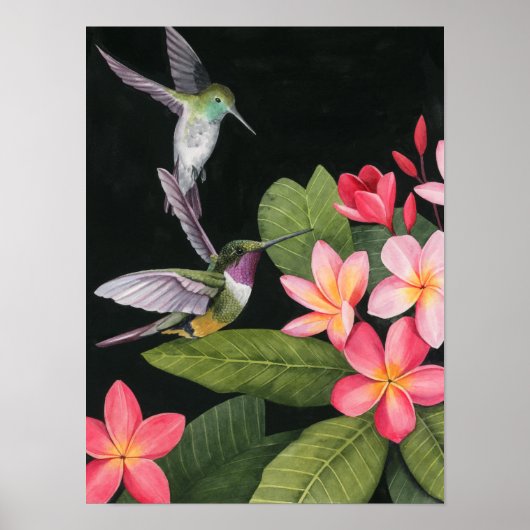 Poster Les colibris de la Plumeria (Devant)
