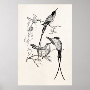 Poster Les colibris vintages de machaon ont personnalisé