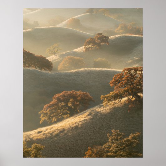 Poster Les Collines (Devant)