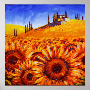 Poster Les collines de tournesol toscane