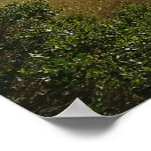 Poster Les collines d'Ignacio (Coin)