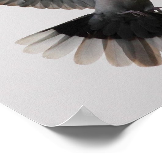 Poster Les colombes (Coin)