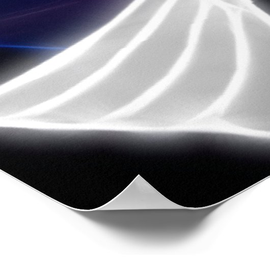 Poster Les colombes (Coin)