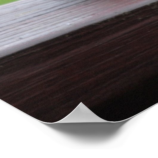 Poster Les colombes en deuil (Coin)