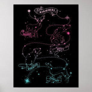 Poster Les constellations animales des Marauders