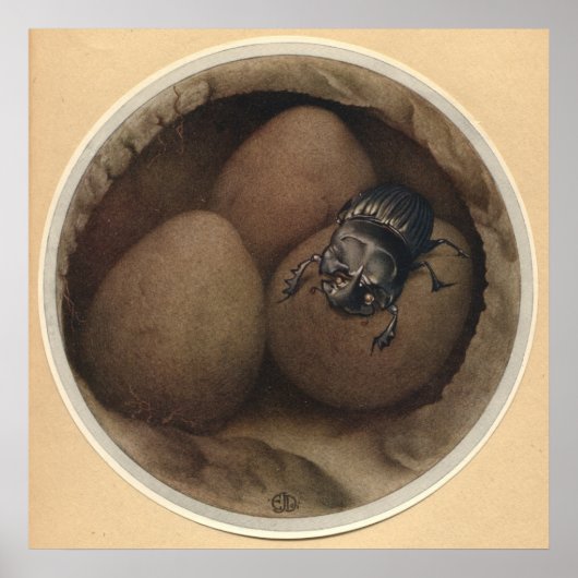 Poster LES COPRIS ESPAGNOLS - Illustration du livre d'ins (Devant)