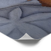 Poster Les coquillages marins au bord de l'eau (Coin)