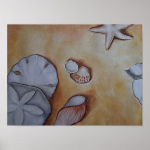Poster Les coquillages marins au bord de l'eau