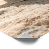 Poster Les Coquillages Sur La Plage (Coin)