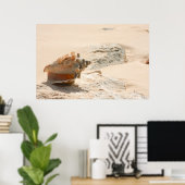 Poster Les Coquillages Sur La Plage (Bureau à domicile)