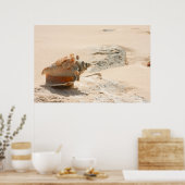Poster Les Coquillages Sur La Plage (Cuisine)