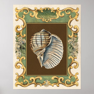 Poster Les coquilles de la petite sirène