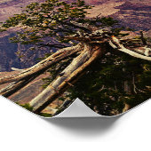 Poster Les couleurs de l'affiche du Grand Canyon (Coin)