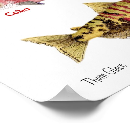 Poster Les couleurs du Saumon (Coin)