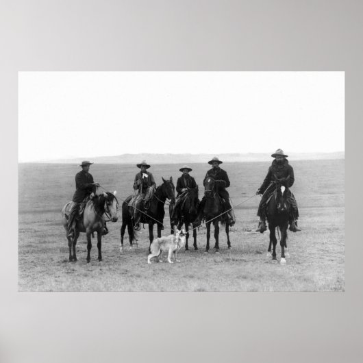 Poster Les cow-boys font un loup gris : 1887 (Devant)