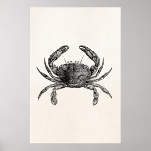 Poster Les crabes vintages d'antiquité de crabe ont