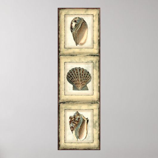 Poster Les Créatures marines au bord de l'eau (Devant)