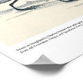 Poster Les cygnes imaginés par les futurs paléontologues (Coin)