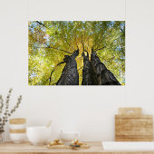 Poster Les dames dansent (Cuisine)