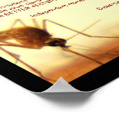 Poster Les dangers de Wolbachia par RoseWrites (Coin)