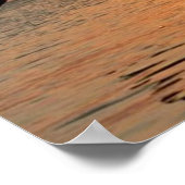 Poster Les dauphins du coucher du soleil (Coin)