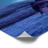 Poster Les dauphins s'amusent et jouent (Coin)