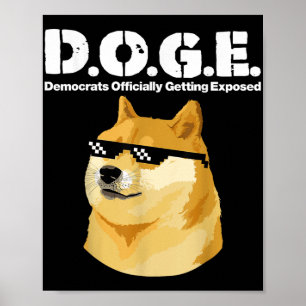 Poster Les Démocrates De Mème Doge Officiellement Exposés