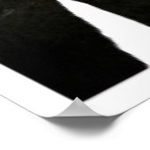 Poster Les derniers d'entre nous (Coin)