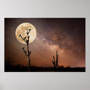 Poster Les déserts Cactus Saguaro avec oiseaux dans le