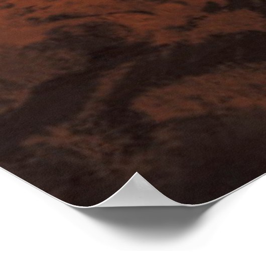 Poster Les déserts | Ciel étoilé au-dessus d'un paysage d (Coin)